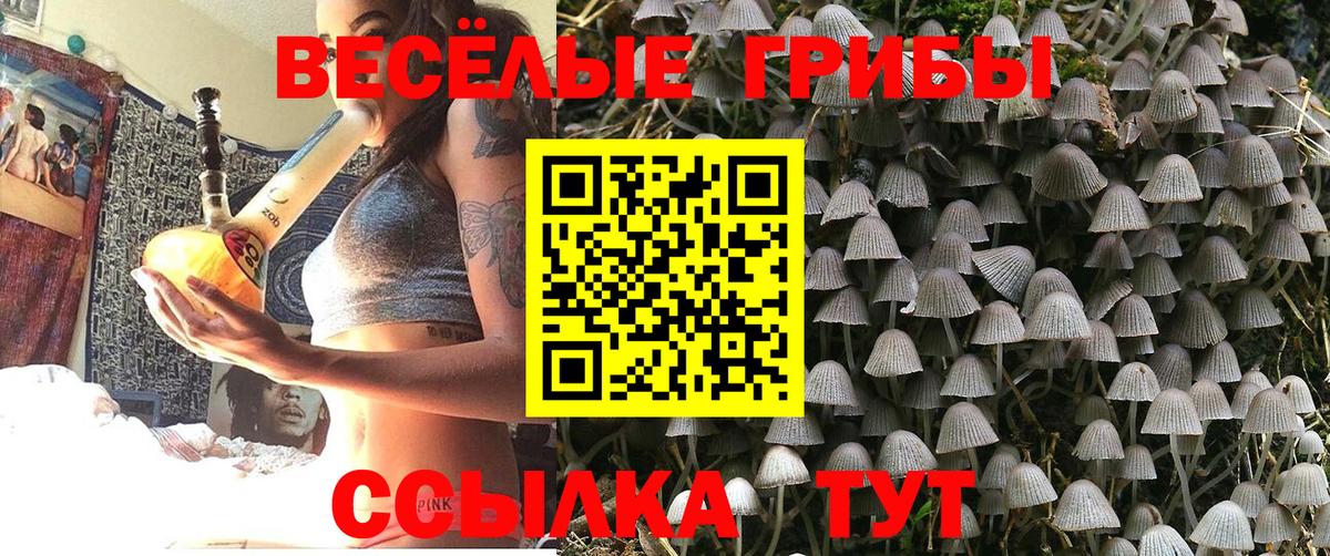Пенза  Галлюциногенные грибы GOLDEN TEACHER  Вход с VPN  Галлюциногенные грибы прущие грибы 