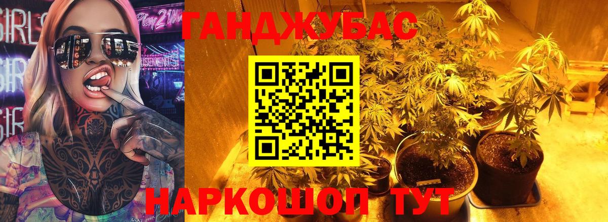 Бошки Шишки планчик  МАРИХУАНА ГИДРОПОН  Пенза  Вход с VPN 